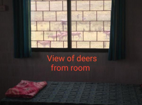 Jungle Homestay near Bandipur Mudumalai Masinagudi